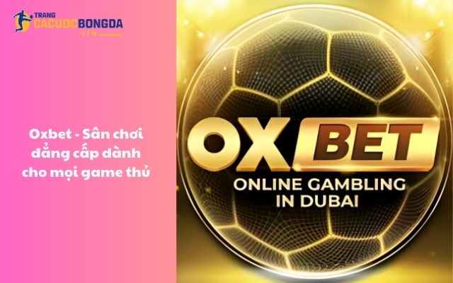 Oxbet - Sân chơi đẳng cấp dành cho mọi cược thủ Oxbet - Sân chơi đẳng cấp dành cho mọi cược thủ